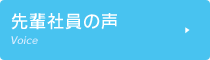 先輩社員の声