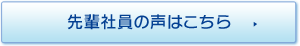 先輩社員の声はこちら